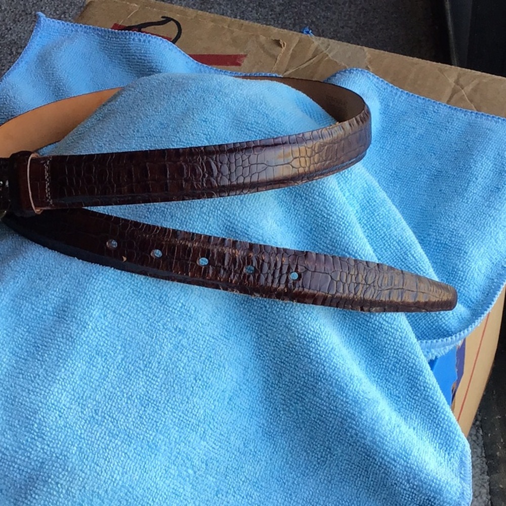 Martin Dingman 30/W used polished dark reptile texture,